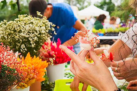 photo de la f&ecirc;te de la nature