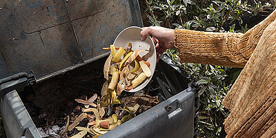 Photo de bac &agrave; compostage individuel.