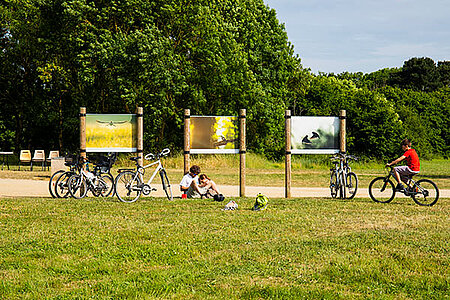 photo de la f&ecirc;te de la nature