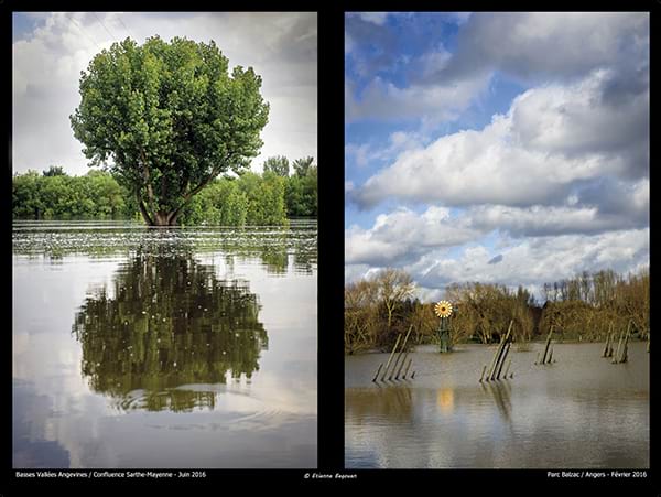 Extrait de l'exposition Inondasonges. 