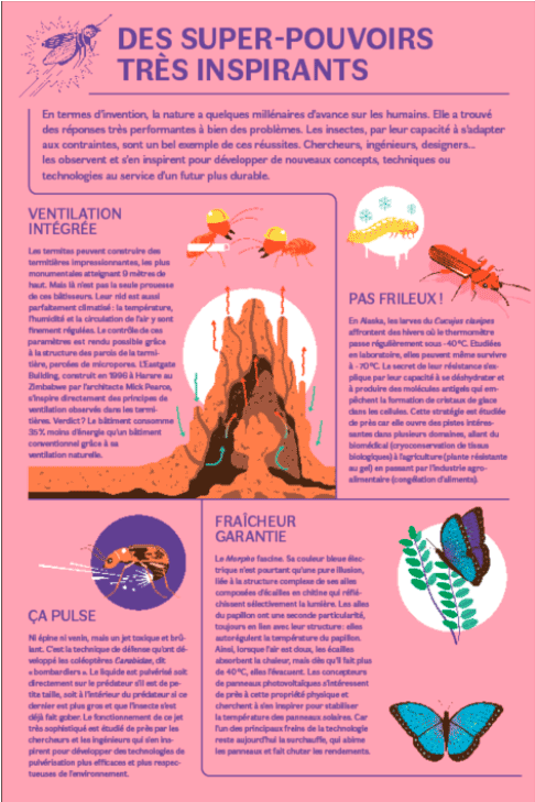 Extrait de l'exposition Les insectes au secours de la plan&egrave;te.