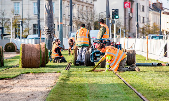 Photo de pose de gazon sur la plateforme du tramway d'Angers Loire Métropole.