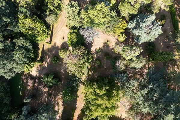 photo a&eacute;rienne