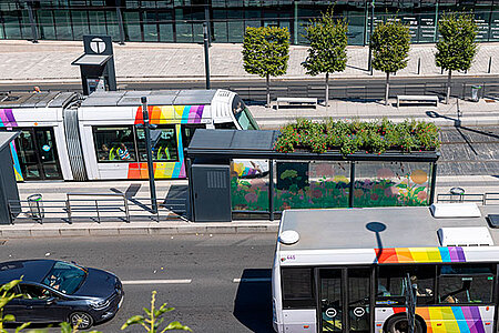 photo d'un bus et du tram
