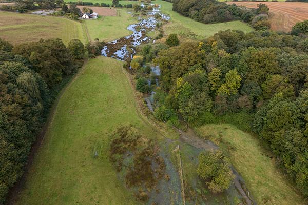 Battue aux sangliers le 18 décembre : une partie des parcs Saint-Nicolas interdite au public