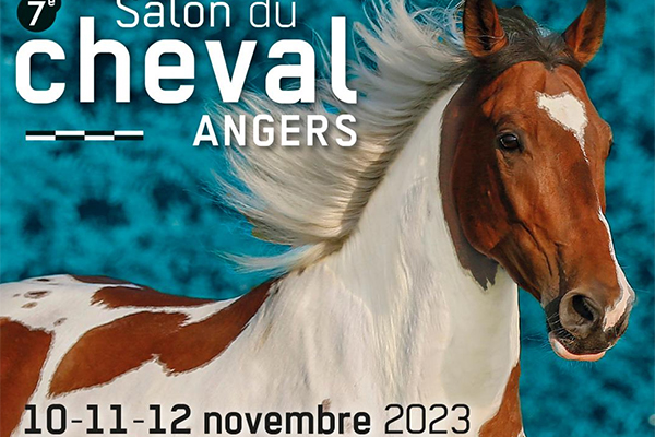 Salon du cheval
